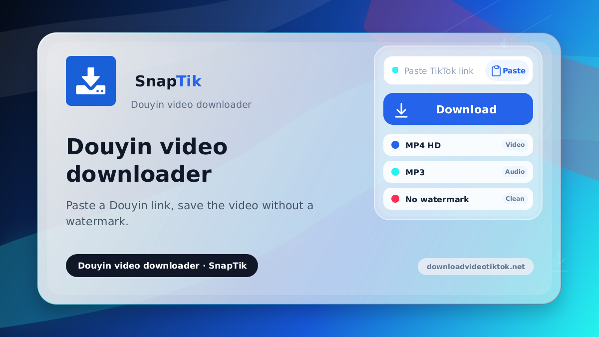 SnapTik - Douyin video downloader