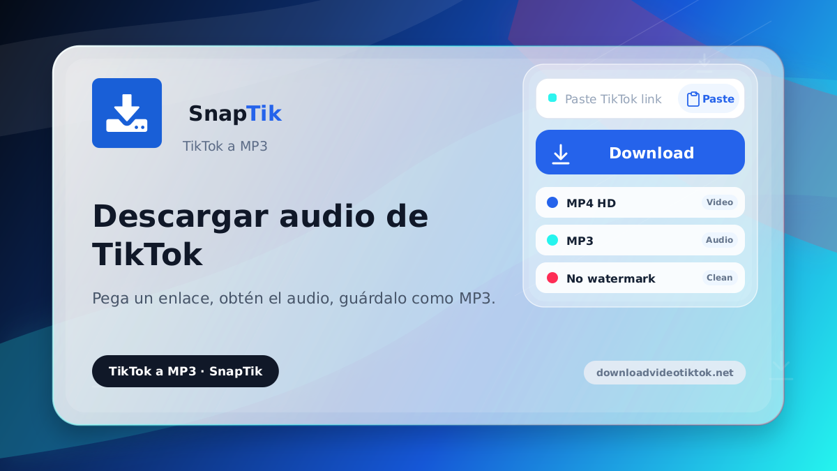 SnapTik - descargar audio de TikTok en MP3