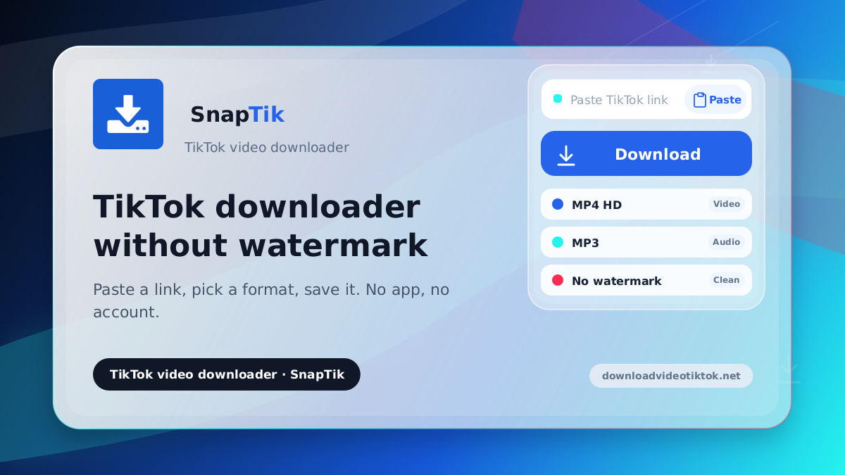 SnapTik - TikTok downloader without watermark