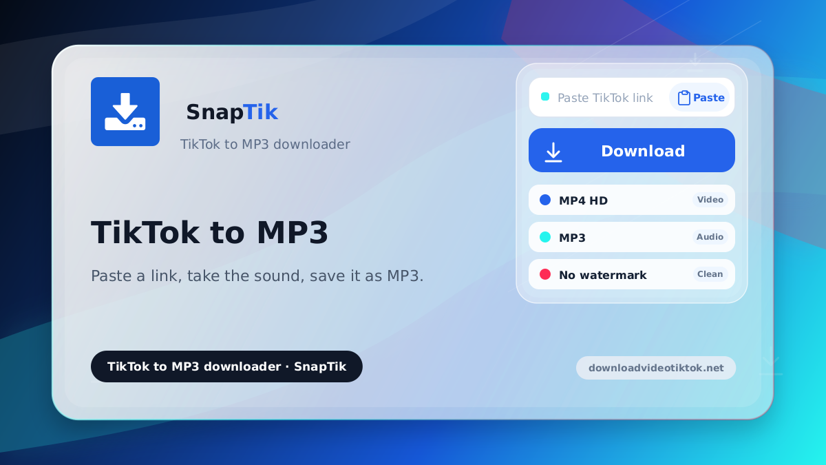 SnapTik - TikTok to MP3 downloader