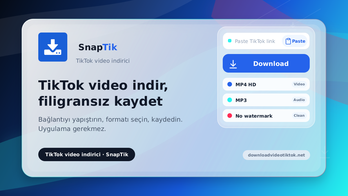 SnapTik - filigransız TikTok video indirme
