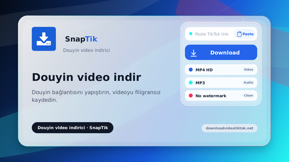 SnapTik - Douyin video indirici