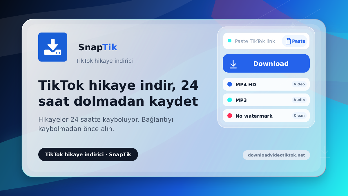 SnapTik - TikTok hikaye indirici