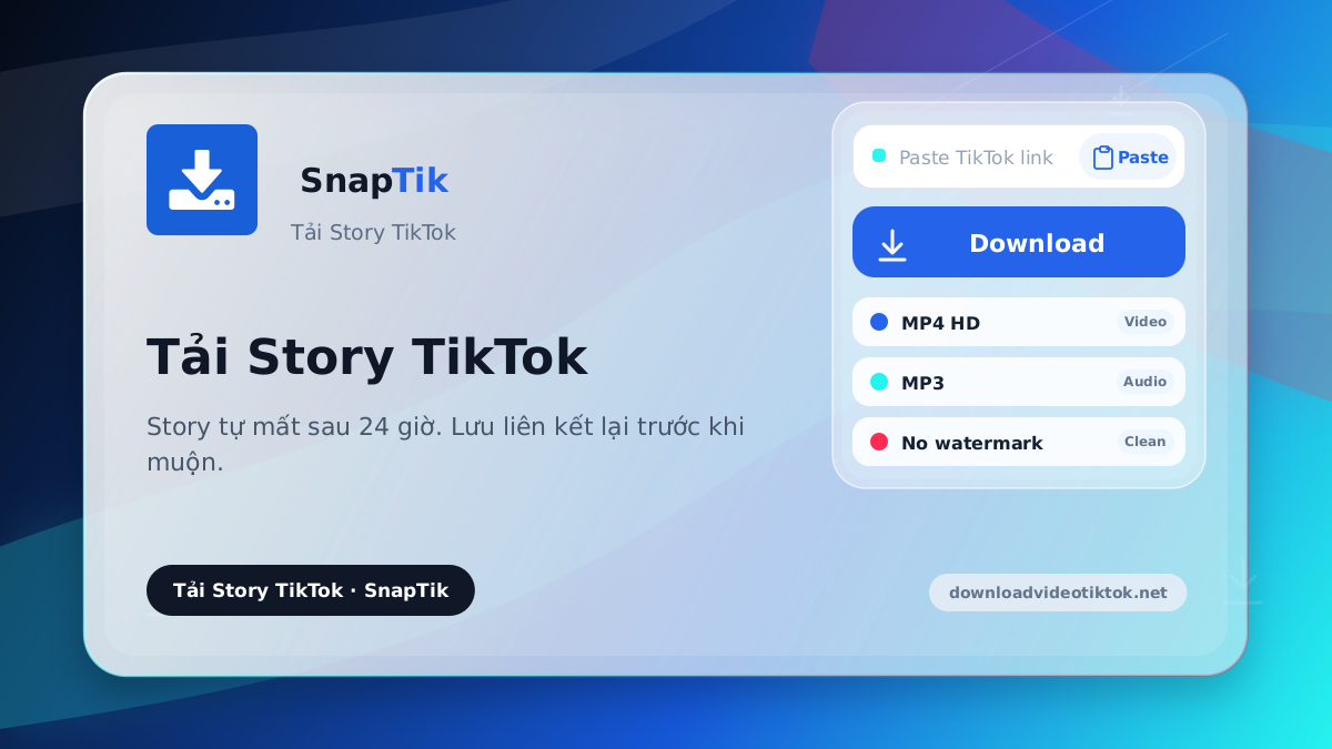 SnapTik - tải Story TikTok
